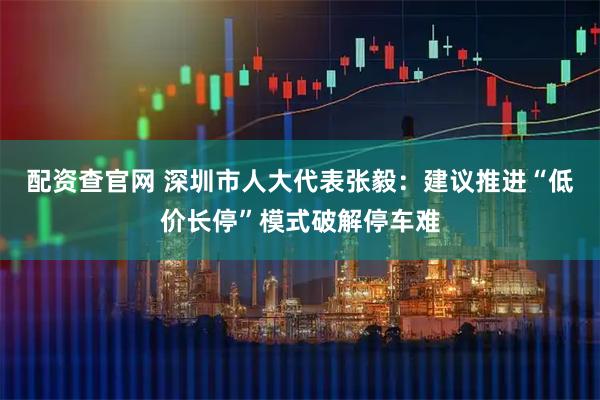 配资查官网 深圳市人大代表张毅：建议推进“低价长停”模式破解停车难